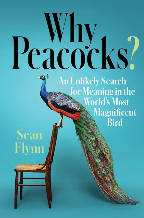 Why Peacocks?: An Unlikely Search for Meaning in the World's Most Magnificent Bird