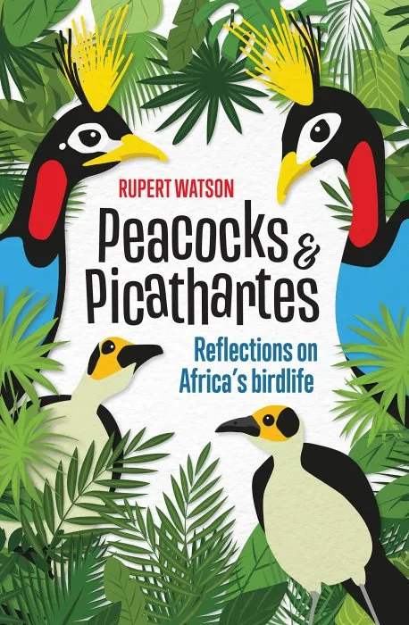 Peacocks & Picathartes: Reflections on Africa's Birdlife