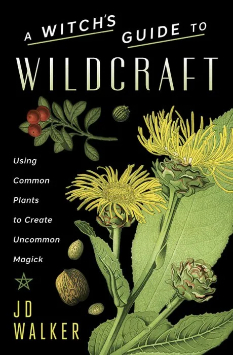 A Witch's Guide to Wildcraft: Using Common Plants to Create Uncommon Magick