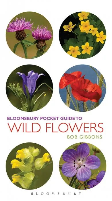 Pocket Guide to Wild Flowers (Pocket Guides)