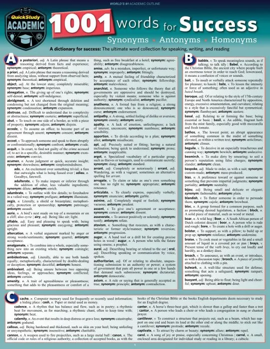 1001 Words for Success: Synonyms, Antonyms & Homonyms (Quick Study Academic)