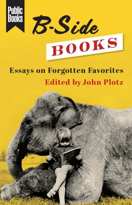 B-Side Books: Essays on Forgotten Favorites (Public Books)