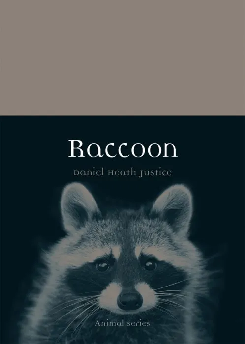 Raccoon (Animal)
