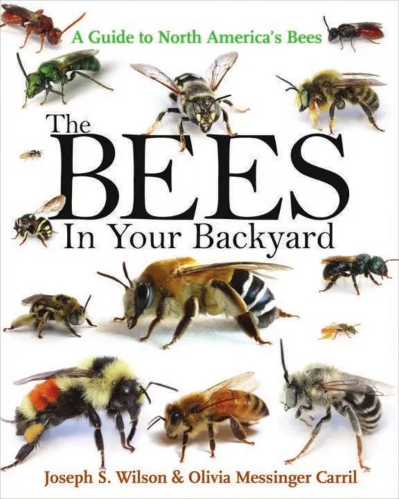 The Bees in Your Backyard: A Guide to North America's Bees