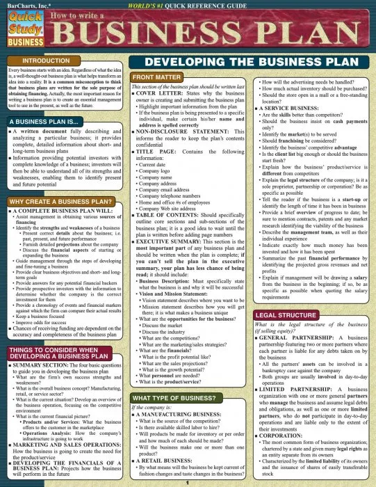 How to Write A Business Plan (Quick Study Business)