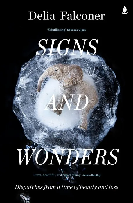 Signs and Wonders: Dispatches from a Time of Beauty and Loss