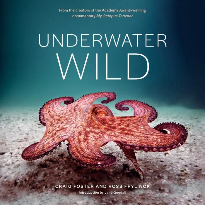 Underwater Wild: My Octopus Teacher's Extraordinary World