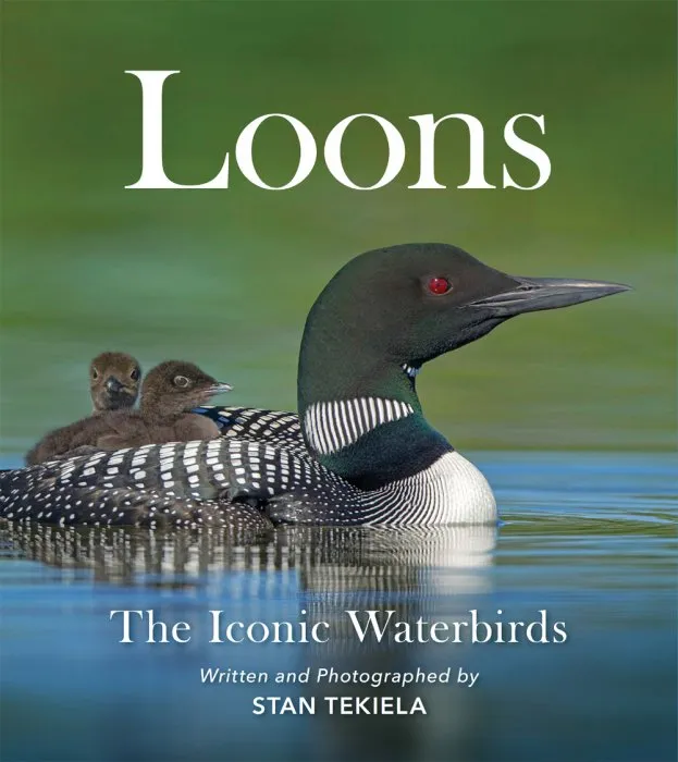 Loons: The Iconic Waterbirds (Favorite Wildlife)