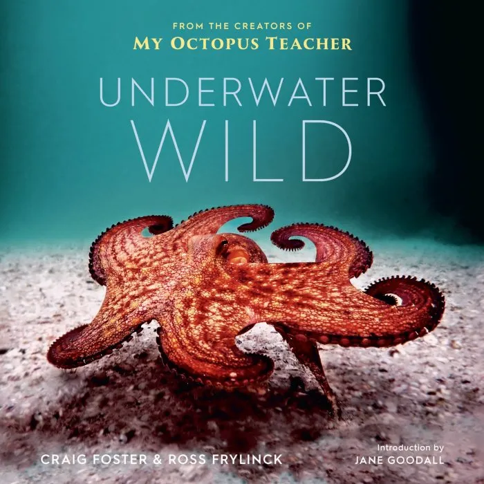 The Underwater Wild: My Octopus Teacher's Extraordinary World, US Edition