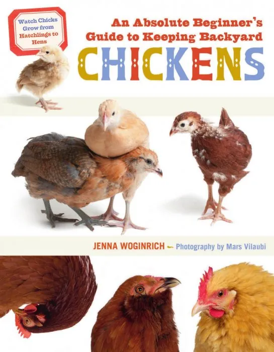 An Absolute Beginner's Guide to Keeping Backyard Chickens: Watch Chicks Grow from Hatchlings to Hens