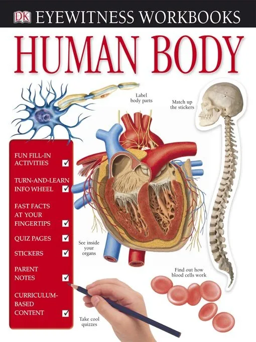 Human Body (DK Eyewitness Workbooks)