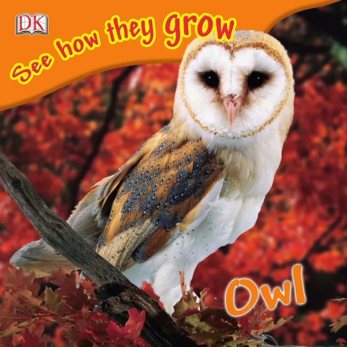 Owl (See How They Grow)