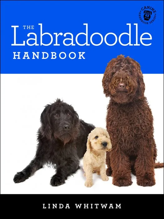 The Labradoodle Handbook (Canine Handbook)