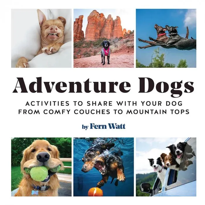 Adventure Dogs: The Dog-Approved Guide to Having Fun (with Humans)