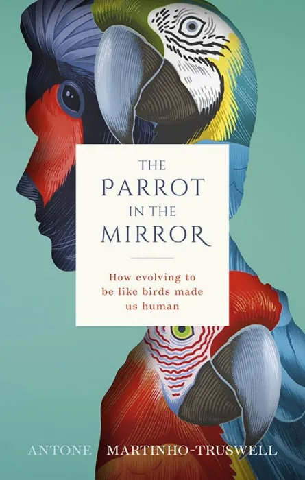 The Parrot in the Mirror: How evolving to be like birds made us human