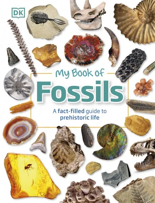 My Book of Fossils: A Fact-filled Guide to Prehistoric Life