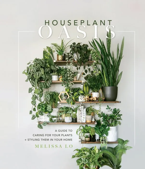 Houseplant Oasis: A Guide to Caring for Your Plants + Styling Them in Your Home