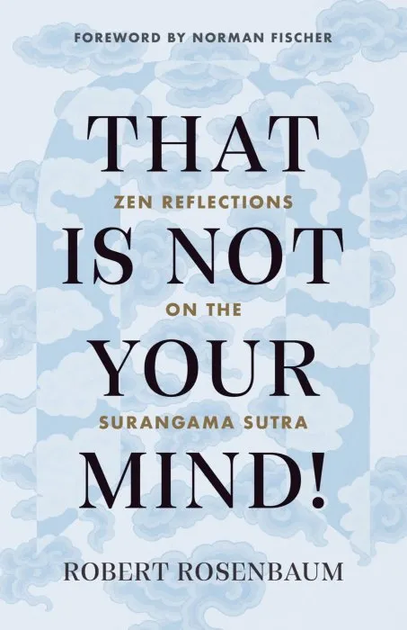 That Is Not Your Mind!: Zen Reflections on the Surangama Sutr