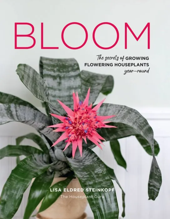 Bloom: The secrets of growing flowering houseplants year-round