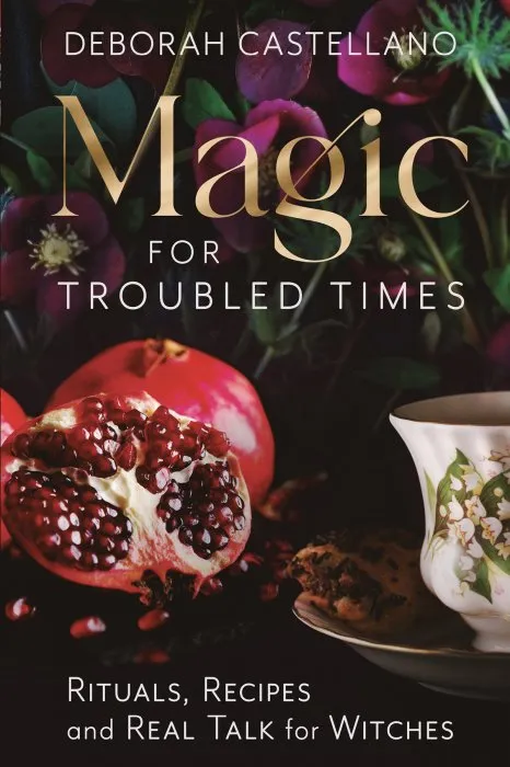 Magic for Troubled Times: Rituals, Recipes, and Real Talk for Witches