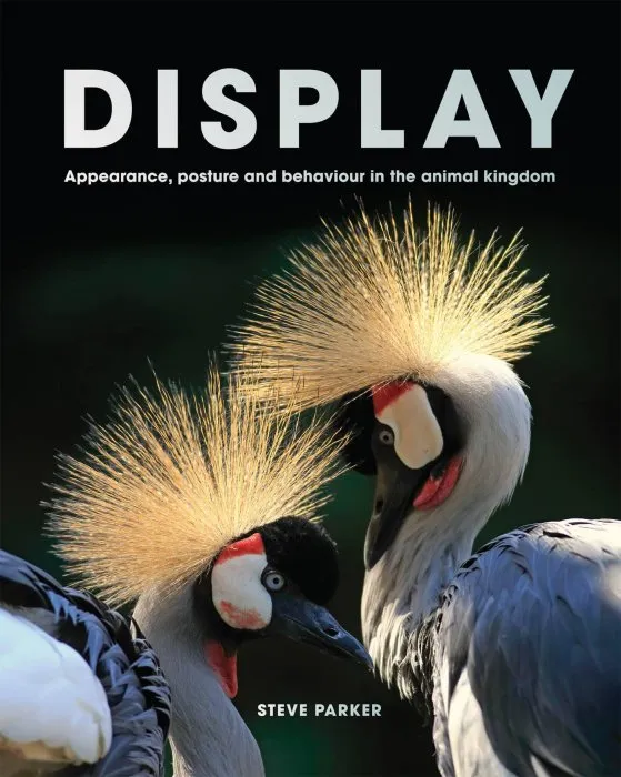 Display: Appearance, posture and behaviour in the animal kingdom