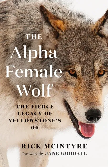 The Alpha Female Wolf: The Fierce Legacy of Yellowstone's 06 (Alpha Wolves of Yellowstone)