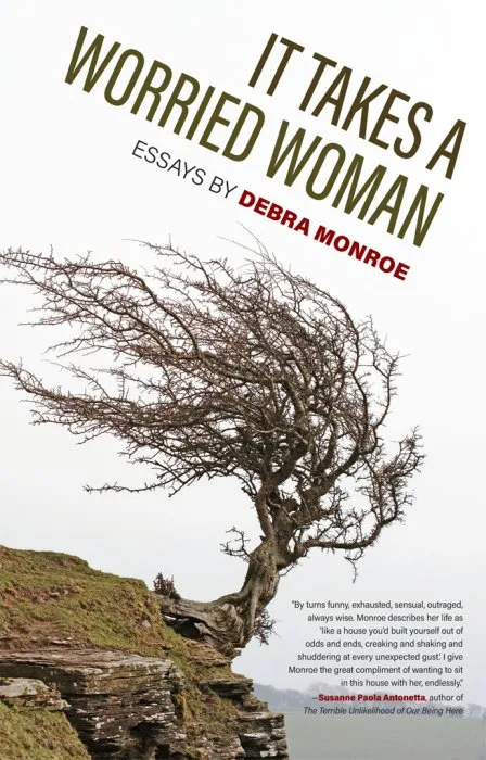 It Takes a Worried Woman: Essays (Crux: The Georgia Series in Literary Nonfiction)