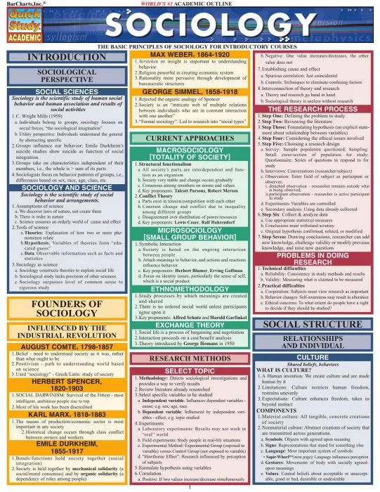 Sociology (Quick Study Academic)