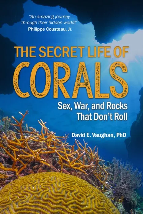 The Secret Life of Corals: Sex, War and Rocks that Don't Roll