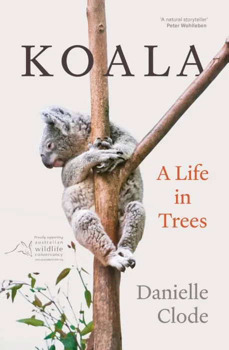 Koala: A Life in Trees