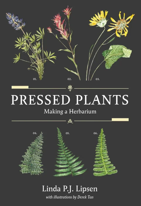 Pressed Plants: Making a Herbarium