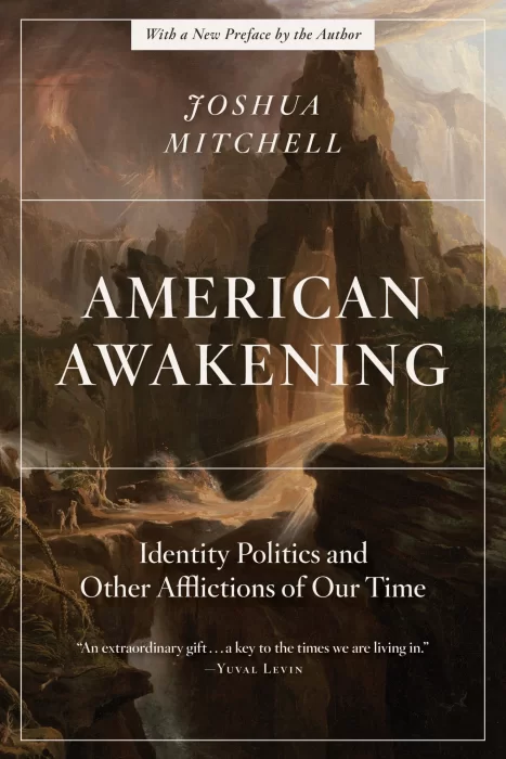 American Awakening: Identity Politics and Other Afflictions of Our Time