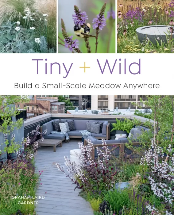 Tiny and Wild: Build a small-scale meadow anywhere