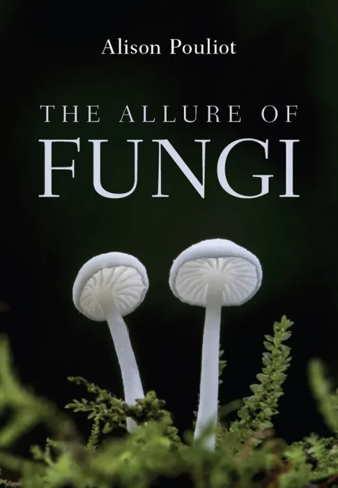 The Allure of Fungi