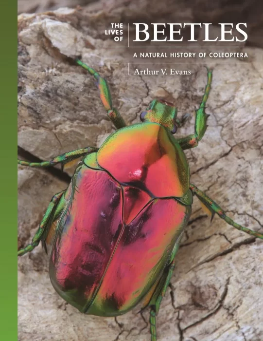 The Lives of Beetles: A Natural History of Coleoptera (The Lives of the Natural World)