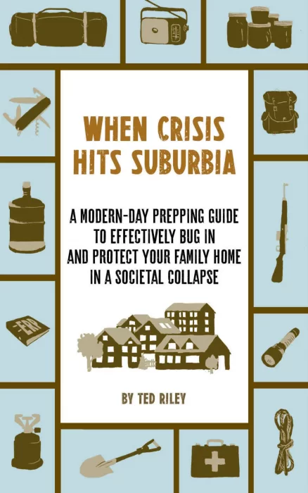 When Crisis Hits Suburbia