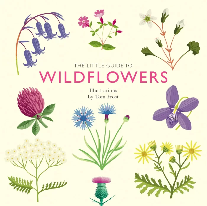 The Little Guide to Wildflowers (Little Guides)