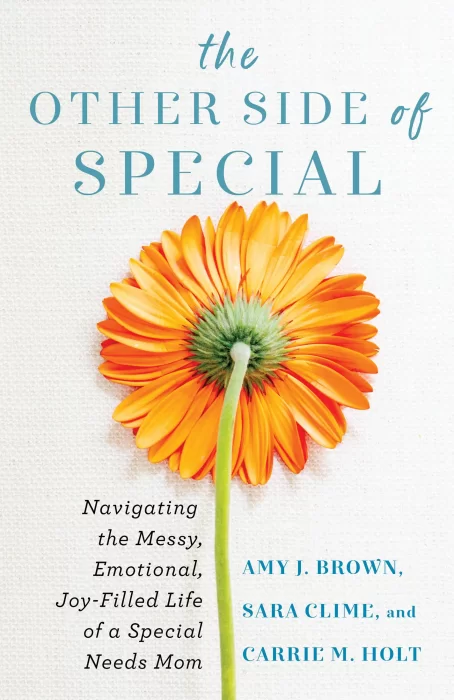 The Other Side of Special: Navigating the Messy&#44; Emotional&#44; Joy-Filled Life of a Special Needs Mom