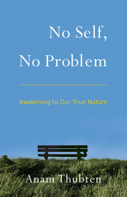 No Self&#44; No Problem: Awakening to Our True Nature