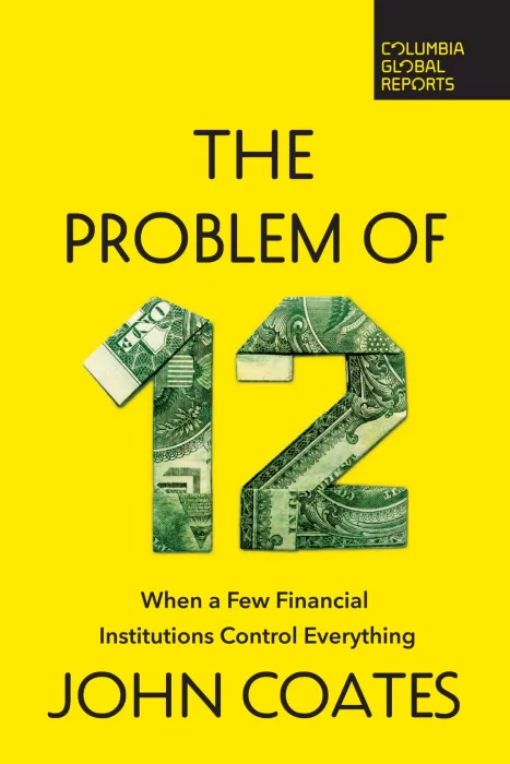 The Problem of Twelve: When a Few Financial Institutions Control Everything