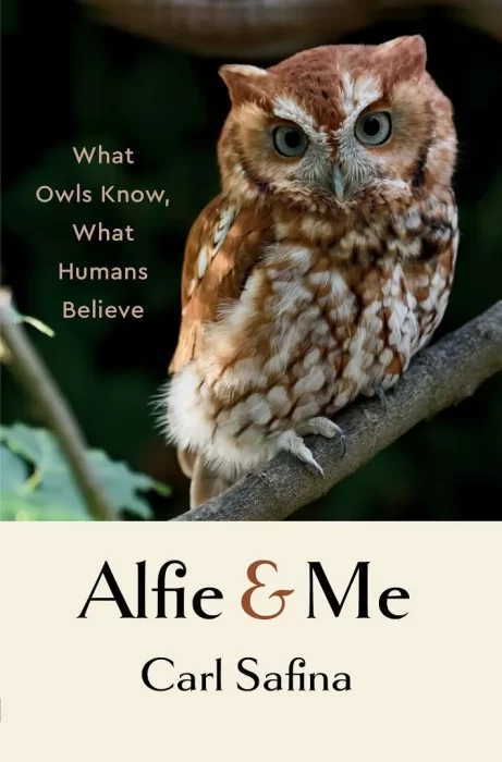 Alfie and Me: What Owls Know&#44; What Humans Believe