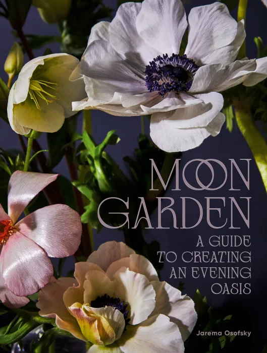 Moon Garden: A Guide to Creating an Evening Oasis