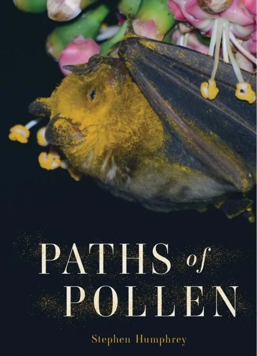 Paths of Pollen