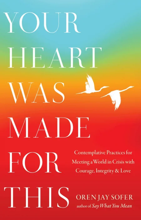 Your Heart Was Made for This: Contemplative Practices for Meeting a World in Crisis with Courage&#44; Integrity&#44; and Love