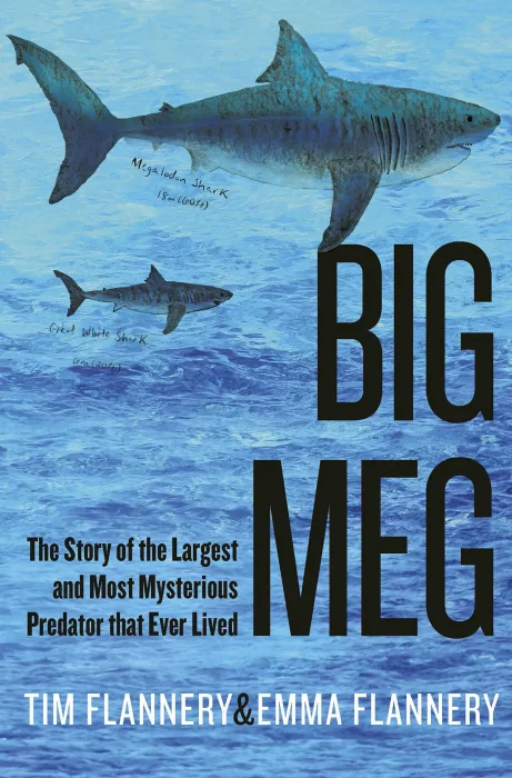 Big Meg: The Story of the Largest and Most Mysterious Predator that Ever Lived&#44; US Edition