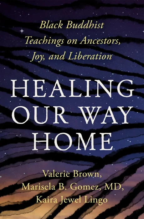 Healing Our Way Home: Black Buddhist Teachings on Ancestors&#44; Joy&#44; and Liberation