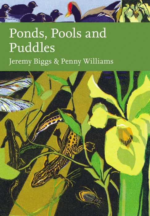Ponds&#44; Pools and Puddles (Collins New Naturalist Library)