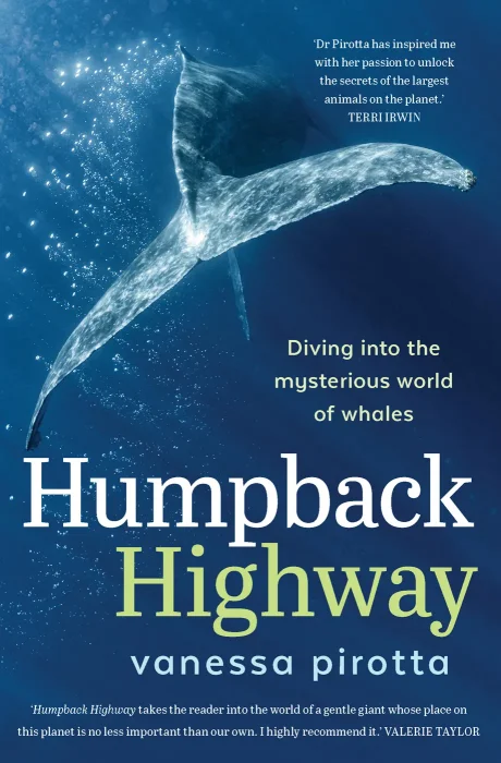 Humpback Highway: Diving Into the Mysterious World of Whales