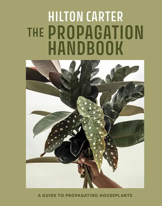 The Propagation Handbook: A guide to propagating houseplants