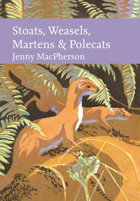 Stoats&#44; Weasels&#44; Martens and Polecats (Collins New Naturalist Library)